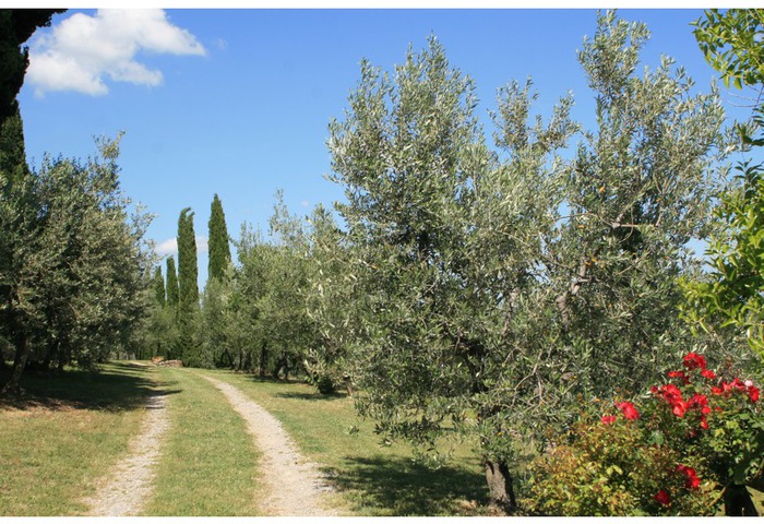 Promenades dans la campagne